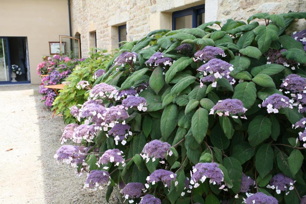Hotel - Restaurant L'Hortensia Noyalo Kültér fotó